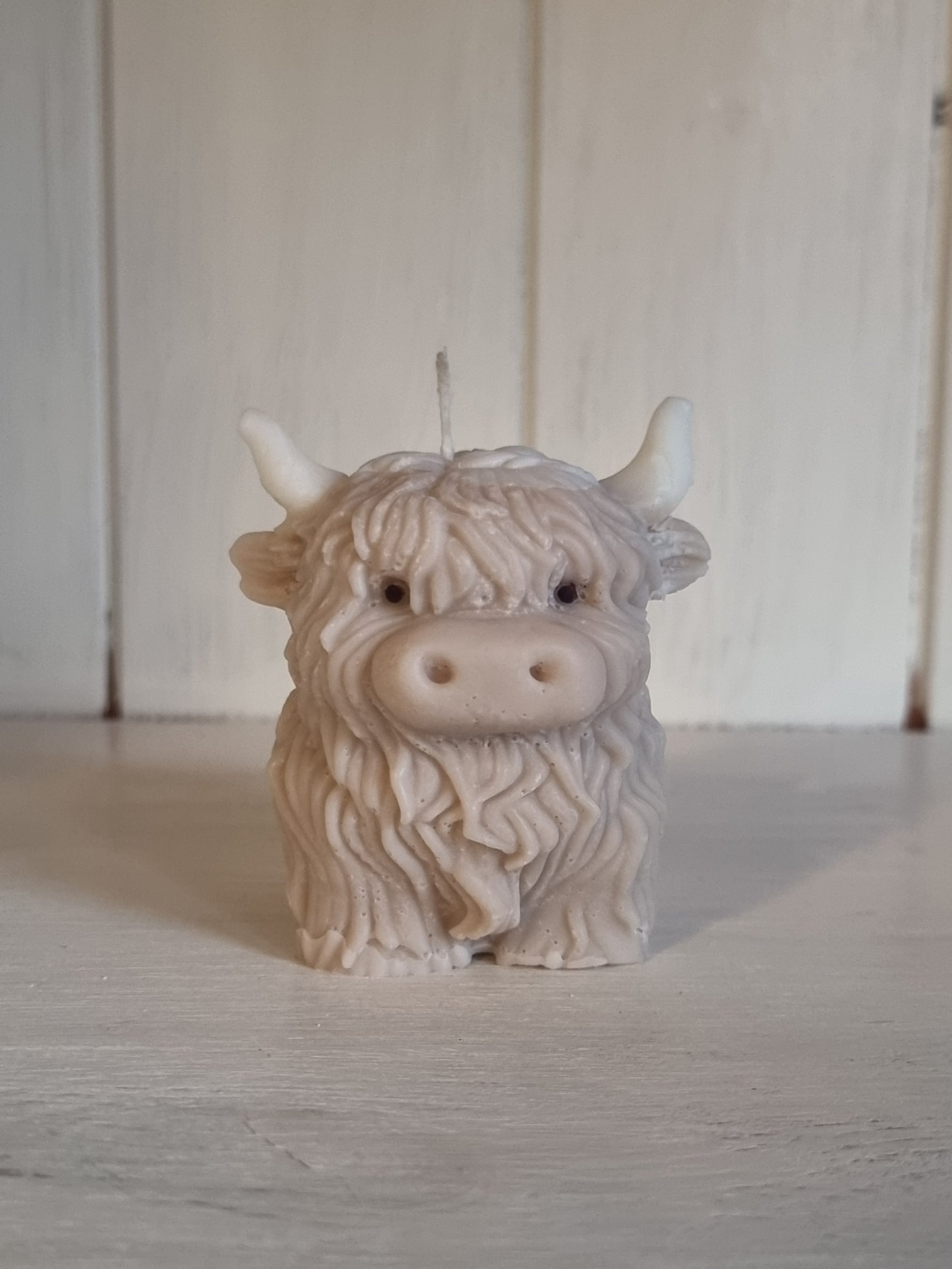 Highland cow